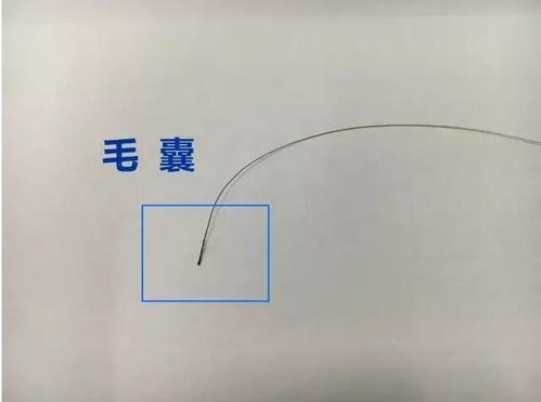 想做個人親子鑒定，頭發(fā)可以鑒定嗎？