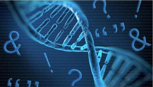 上戶口親子鑒定流程有那些呢？